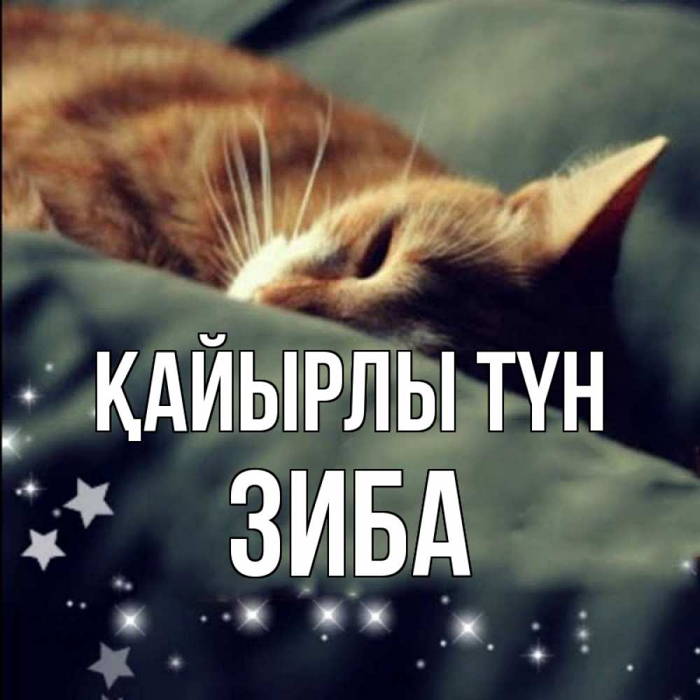 Күн сайын ашық хат с именем, ЗИБА Қайырлы түн кроватка Онлайн тегін жүктеп алу тілектері бар керемет карта 