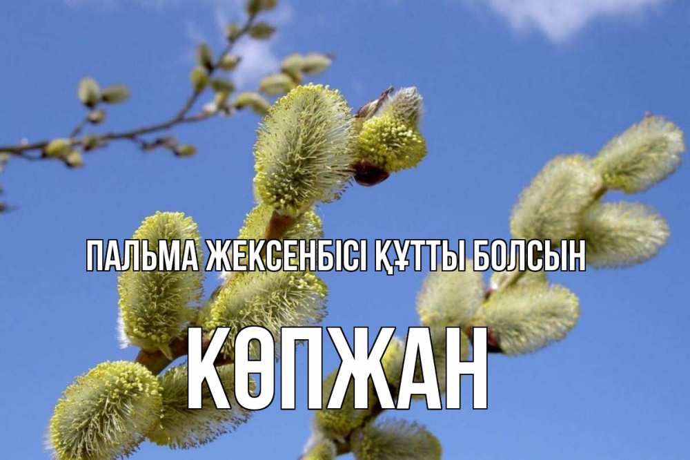 Күн сайын ашық хат с именем, Көпжан Пальма жексенбісі құтты болсын верба Онлайн тегін жүктеп алу тілектері бар керемет карта 