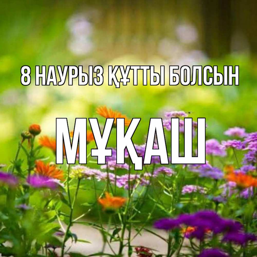 Күн сайын ашық хат с именем, Мұқаш 8 наурыз құтты болсын цветы Онлайн тегін жүктеп алу тілектері бар керемет карта 