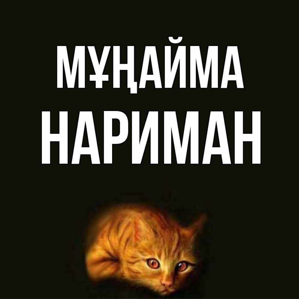 Күн сайын ашық хат с именем, НАРИМАН Мұңайма лежащий кот в темноте Онлайн тегін жүктеп алу тілектері бар керемет карта 