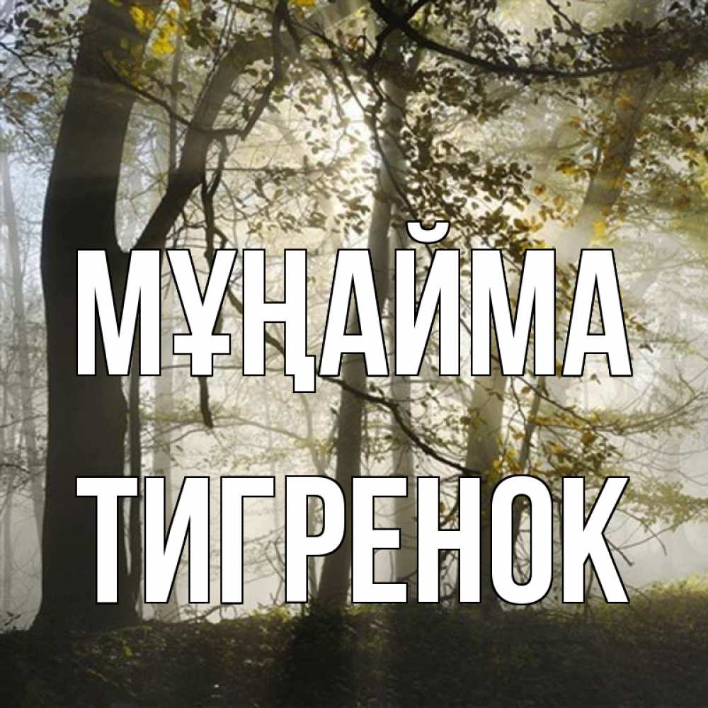 Күн сайын ашық хат с именем, Тигренок Мұңайма лес и свет Онлайн тегін жүктеп алу тілектері бар керемет карта 