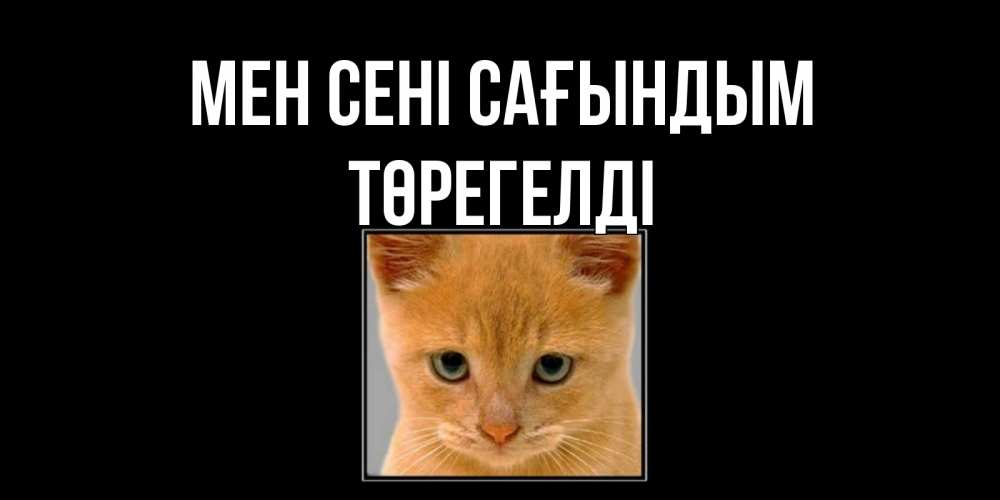 Күн сайын ашық хат с именем, Төрегелді Мен сені сағындым открытки рыжий котенок скучает по тебе Онлайн тегін жүктеп алу тілектері бар керемет карта 