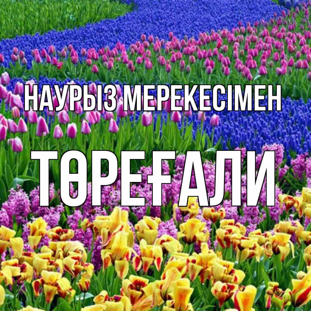 Күн сайын ашық хат с именем, Төреғали Наурыз мерекесімен цветы Онлайн тегін жүктеп алу тілектері бар керемет карта 