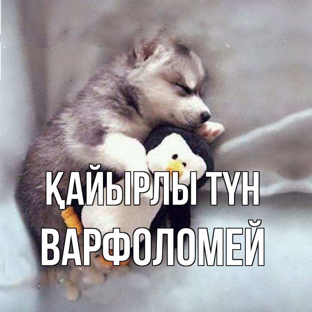 Күн сайын ашық хат с именем, Варфоломей Қайырлы түн обнимашки щенка и пингвина Онлайн тегін жүктеп алу тілектері бар керемет карта 