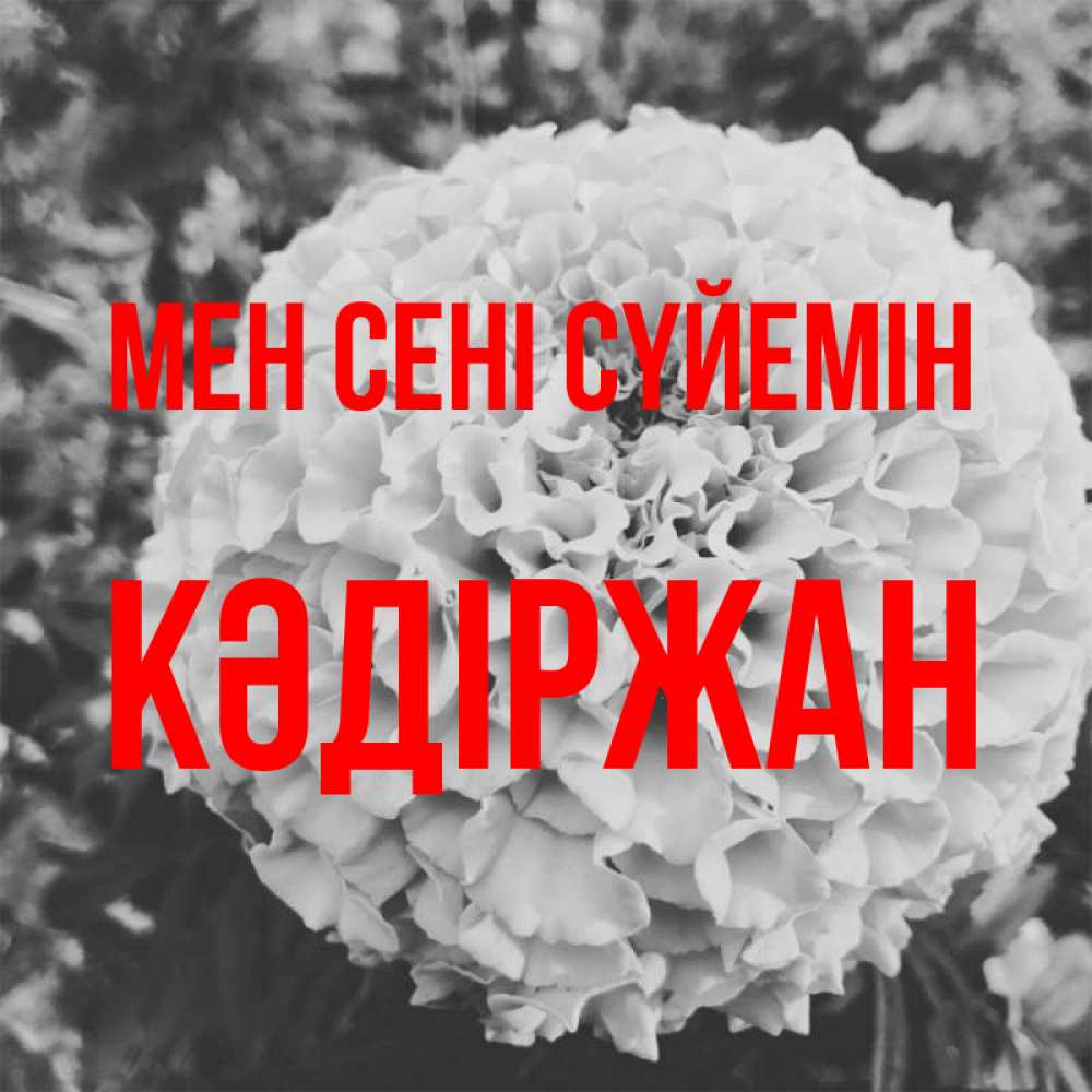 Күн сайын ашық хат с именем, Кәдіржан Мен сені сүйемін подпись Онлайн тегін жүктеп алу тілектері бар керемет карта 
