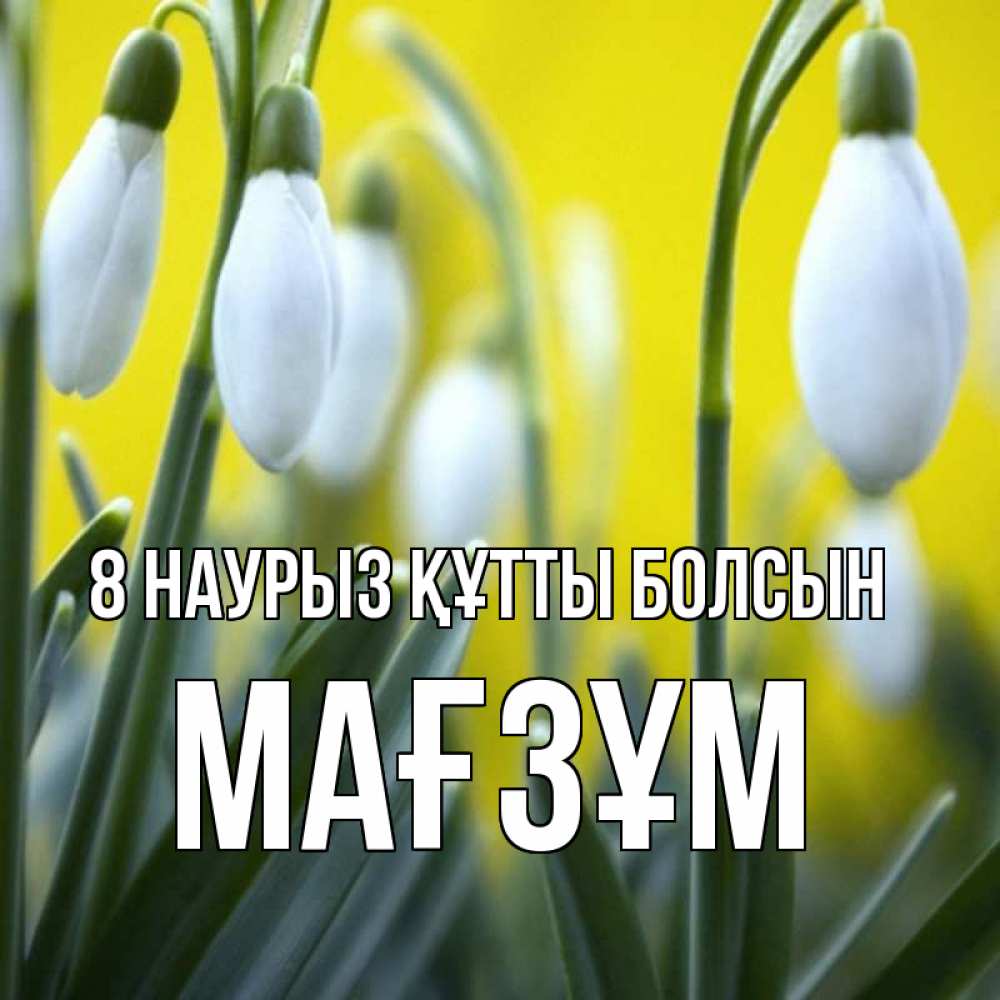 Күн сайын ашық хат с именем, МАҒЗҰМ 8 наурыз құтты болсын весенние цветы Онлайн тегін жүктеп алу тілектері бар керемет карта 
