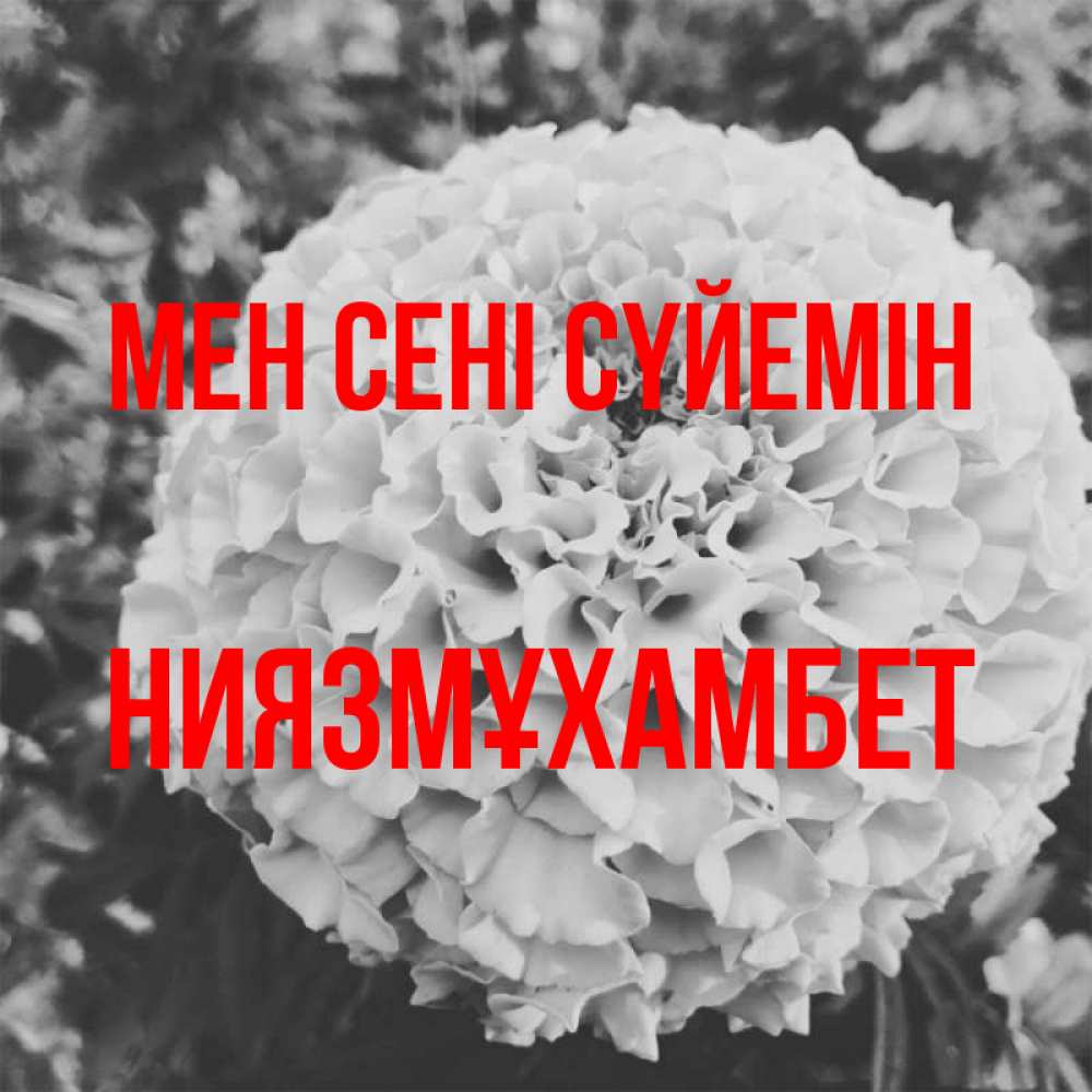 Күн сайын ашық хат с именем, НИЯЗМҰХАМБЕТ Мен сені сүйемін подпись Онлайн тегін жүктеп алу тілектері бар керемет карта 