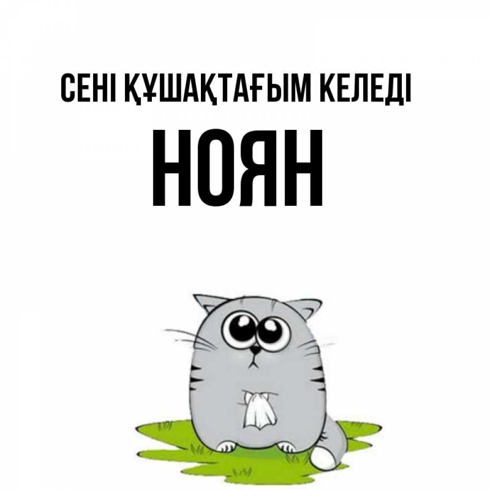 Күн сайын ашық хат с именем, НОЯН сені құшақтағым келеді котик теребит платочек сидя на травке Онлайн тегін жүктеп алу тілектері бар керемет карта 