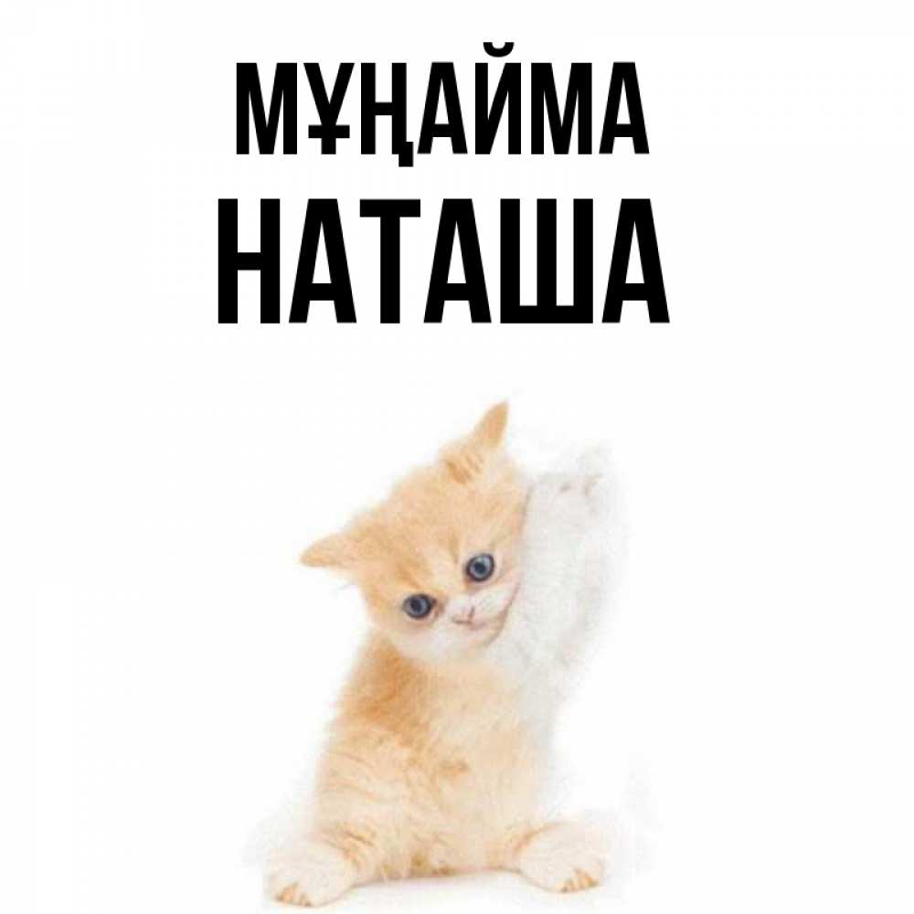Күн сайын ашық хат с именем, Наташа Мұңайма просящий кот Онлайн тегін жүктеп алу тілектері бар керемет карта 