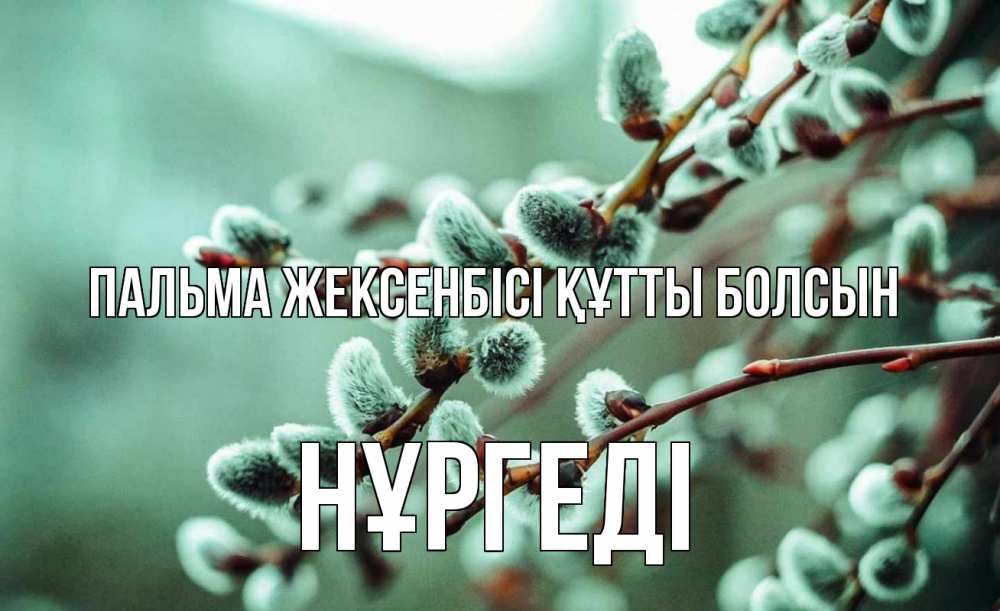 Күн сайын ашық хат с именем, НҰРГЕДІ Пальма жексенбісі құтты болсын верба Онлайн тегін жүктеп алу тілектері бар керемет карта 
