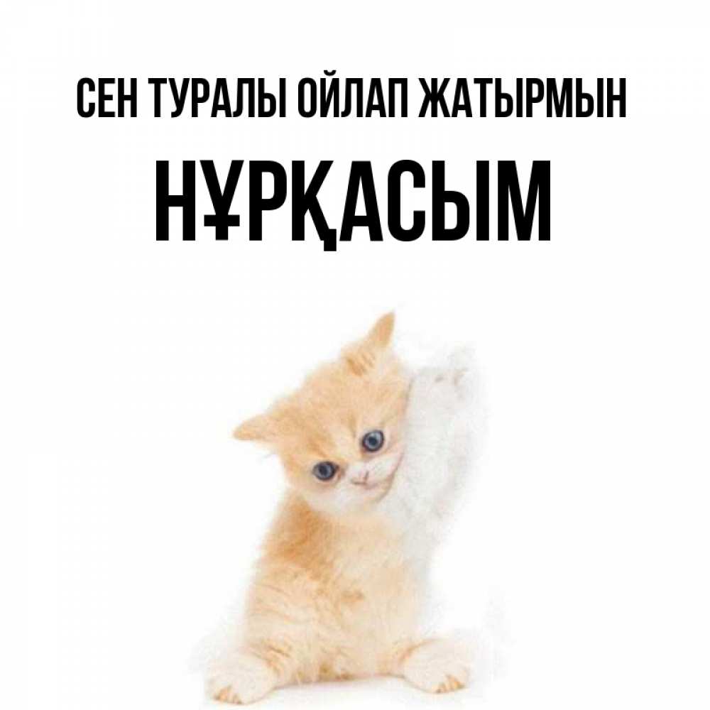 Күн сайын ашық хат с именем, НҰРҚАСЫМ Сен туралы ойлап жатырмын зверушки и милота Онлайн тегін жүктеп алу тілектері бар керемет карта 