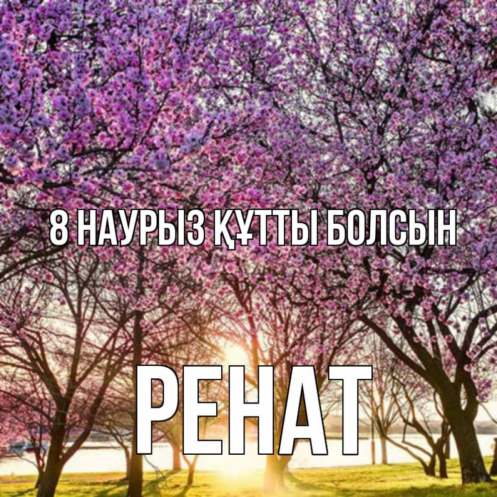 Күн сайын ашық хат с именем, РЕНАТ 8 наурыз құтты болсын международный женский день Онлайн тегін жүктеп алу тілектері бар керемет карта 