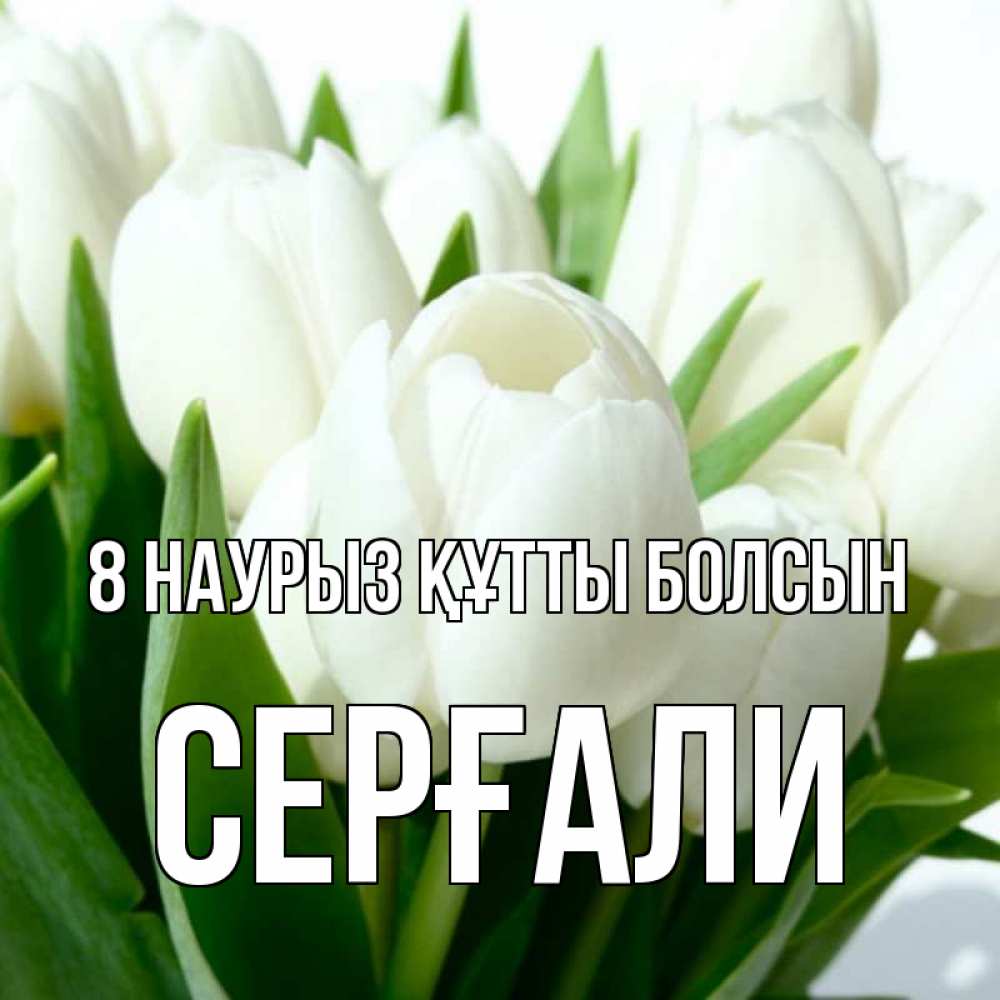 Күн сайын ашық хат с именем, СЕРҒАЛИ 8 наурыз құтты болсын цветы Онлайн тегін жүктеп алу тілектері бар керемет карта 