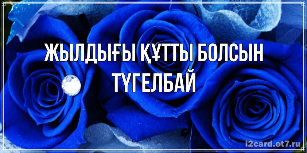 Күн сайын ашық хат с именем, ТҮГЕЛБАЙ Жылдығы құтты болсын синие розы в росе Онлайн тегін жүктеп алу тілектері бар керемет карта 