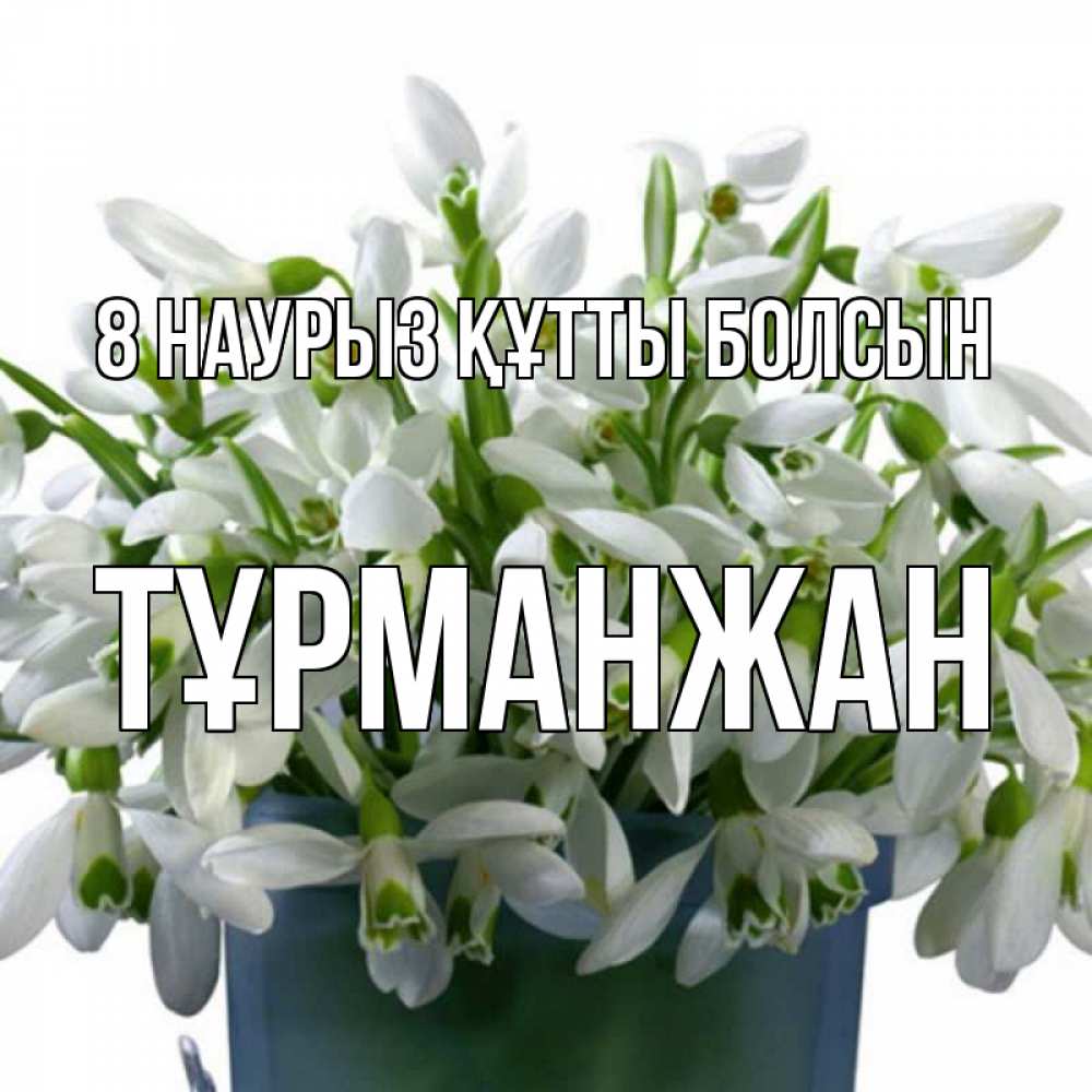 Күн сайын ашық хат с именем, ТҰРМАНЖАН 8 наурыз құтты болсын цветы к международному женскому дню Онлайн тегін жүктеп алу тілектері бар керемет карта 