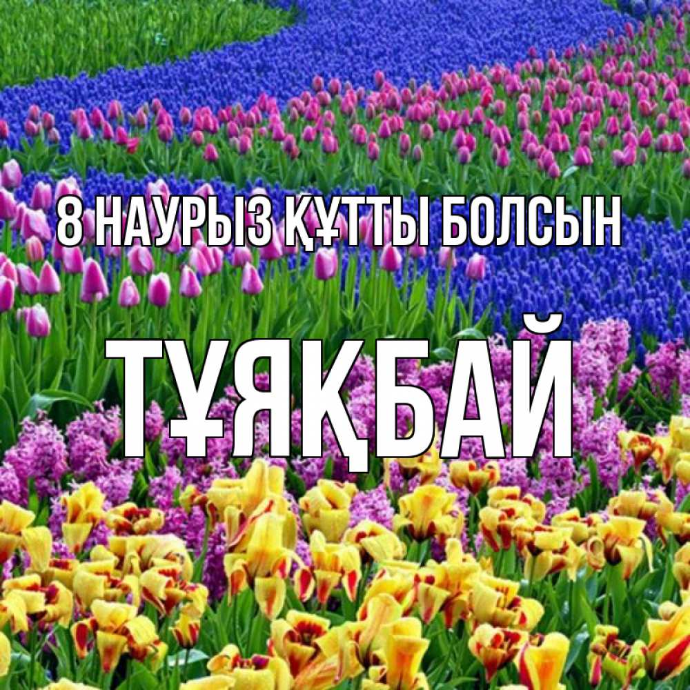 Күн сайын ашық хат с именем, ТҰЯҚБАЙ 8 наурыз құтты болсын цветы Онлайн тегін жүктеп алу тілектері бар керемет карта 