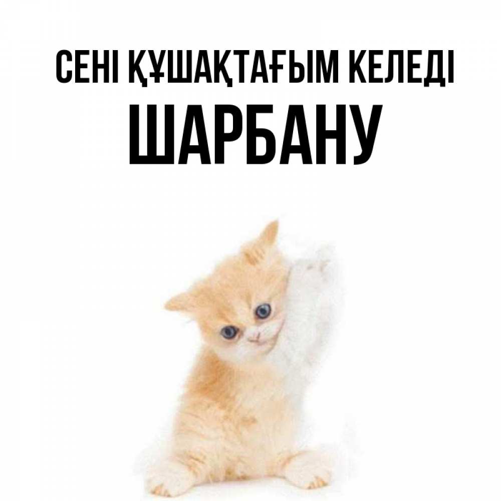 Күн сайын ашық хат с именем, ШАРБАНУ сені құшақтағым келеді я хочу очень скорее обнимаешек Онлайн тегін жүктеп алу тілектері бар керемет карта 