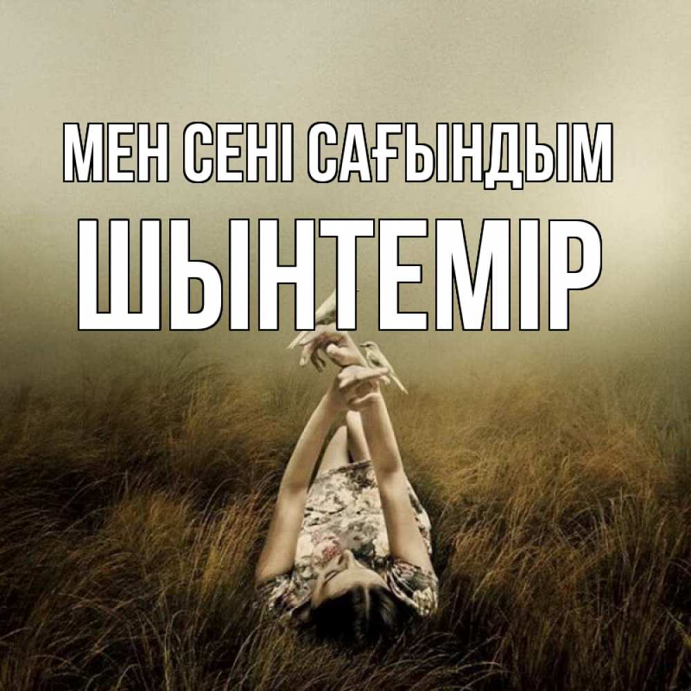 Күн сайын ашық хат с именем, ШЫНТЕМІР Мен сені сағындым девушка с голубями Онлайн тегін жүктеп алу тілектері бар керемет карта 