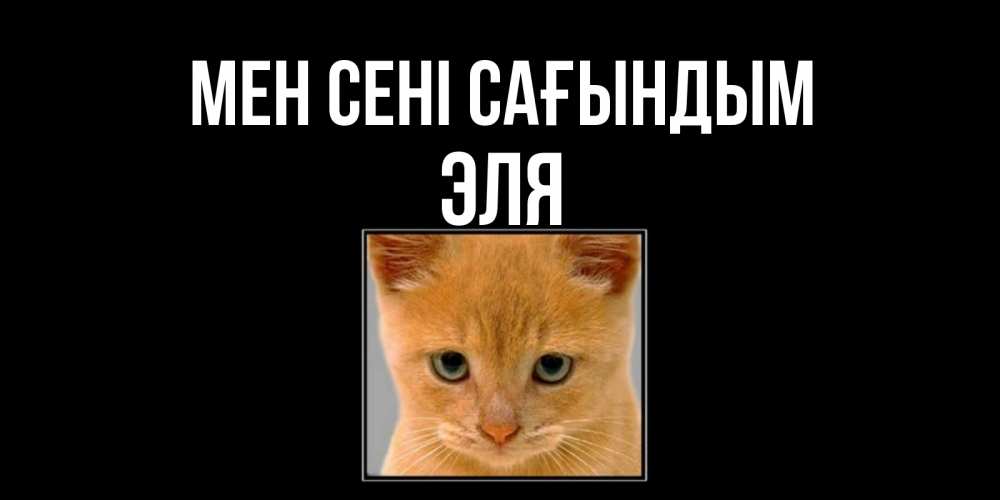 Күн сайын ашық хат с именем, Эля Мен сені сағындым открытки рыжий котенок скучает по тебе Онлайн тегін жүктеп алу тілектері бар керемет карта 