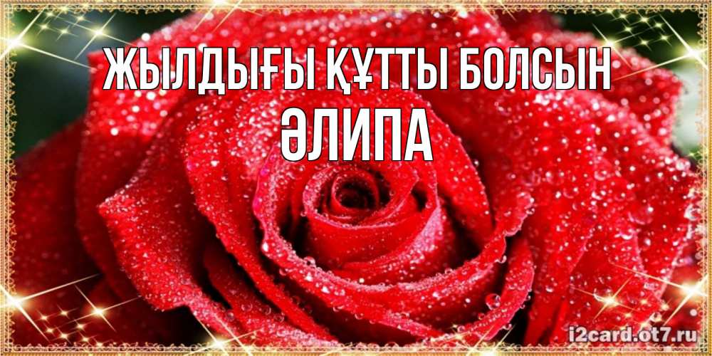 Күн сайын ашық хат с именем, ӘЛИПА Жылдығы құтты болсын роса и роза. открытка с красивой розой Онлайн тегін жүктеп алу тілектері бар керемет карта 