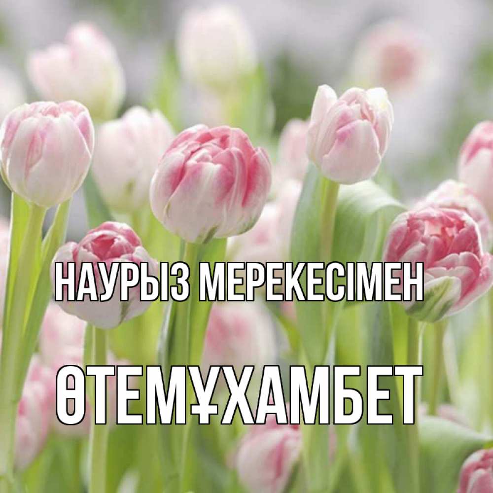 Күн сайын ашық хат с именем, ӨТЕМҰХАМБЕТ Наурыз мерекесімен цветы Онлайн тегін жүктеп алу тілектері бар керемет карта 