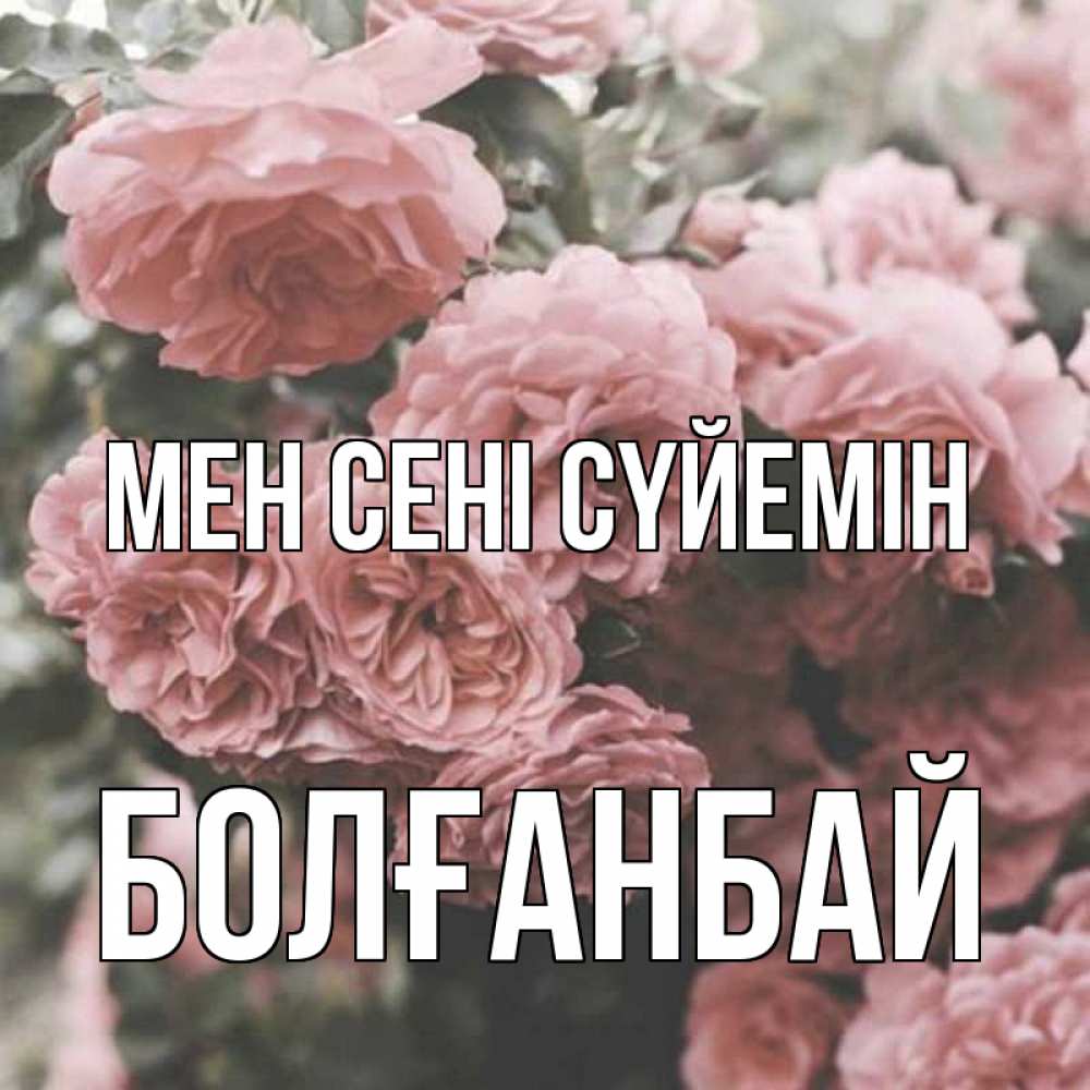 Күн сайын ашық хат с именем, Болғанбай Мен сені сүйемін розы 3 Онлайн тегін жүктеп алу тілектері бар керемет карта 