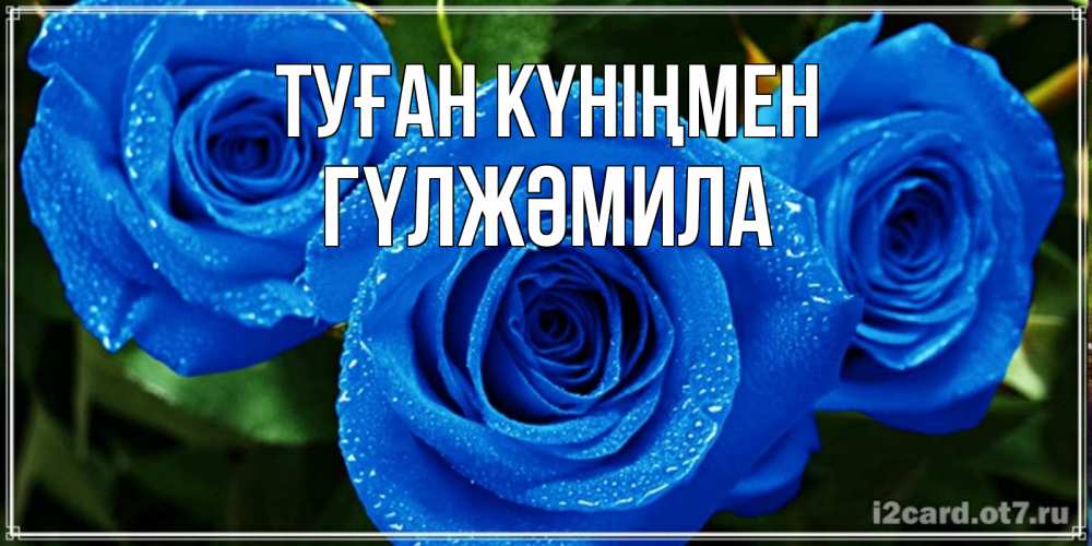 Күн сайын ашық хат с именем, ГҮЛЖӘМИЛА Туған күніңмен розы с синим цветом Онлайн тегін жүктеп алу тілектері бар керемет карта 