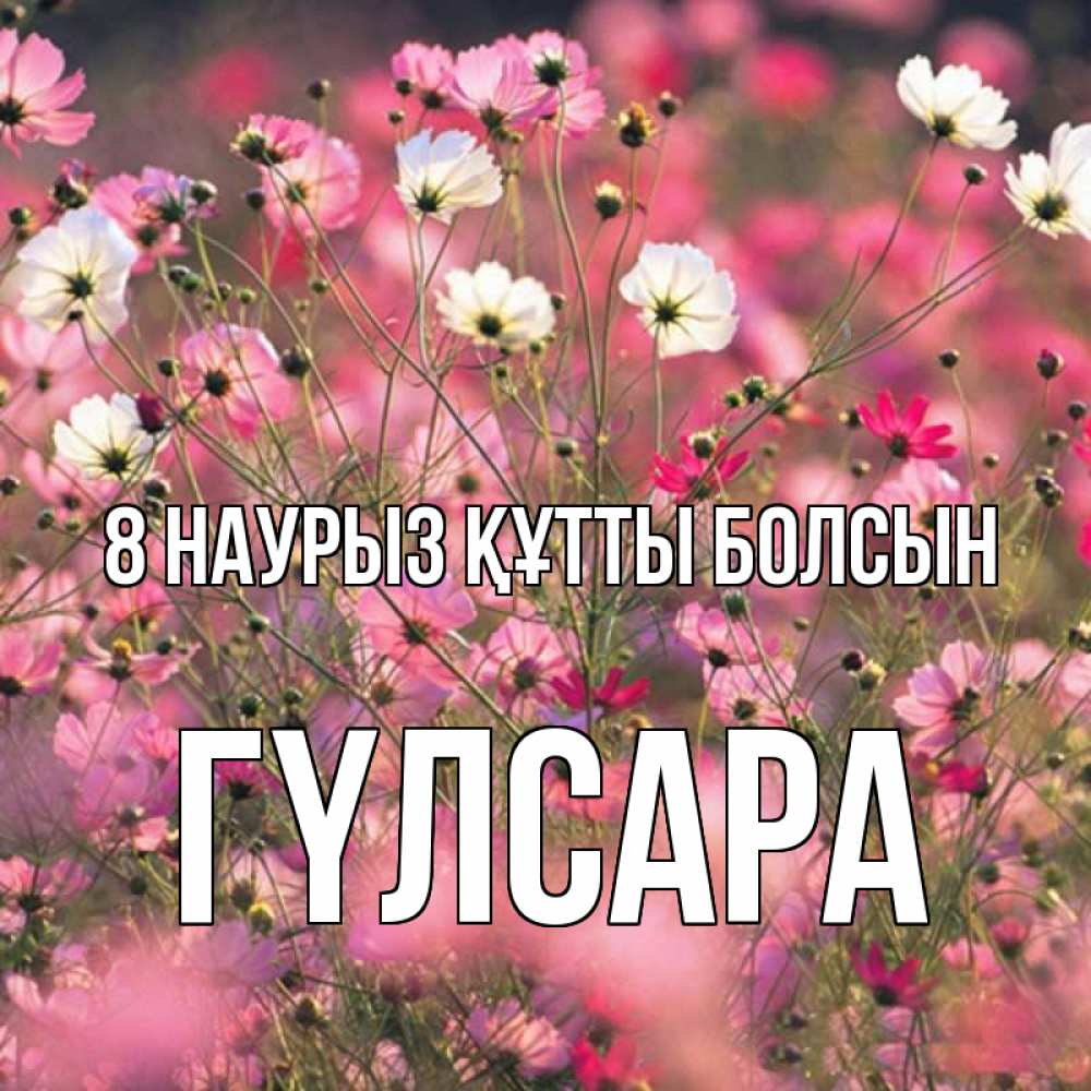 Күн сайын ашық хат с именем, ГҮЛСАРА 8 наурыз құтты болсын красиво 1 Онлайн тегін жүктеп алу тілектері бар керемет карта 
