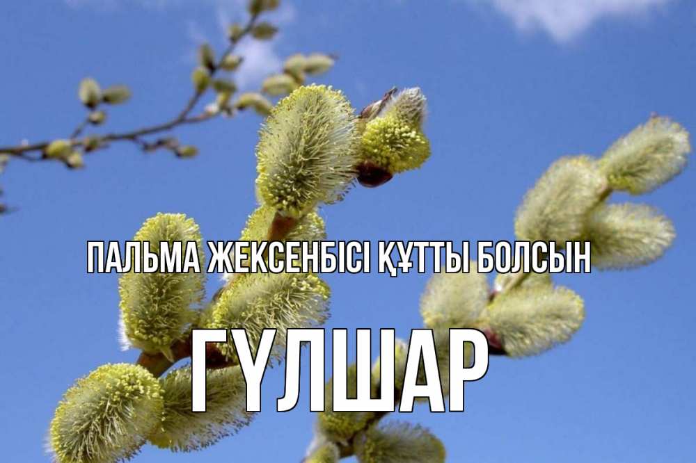 Күн сайын ашық хат с именем, ГҮЛШАР Пальма жексенбісі құтты болсын верба Онлайн тегін жүктеп алу тілектері бар керемет карта 