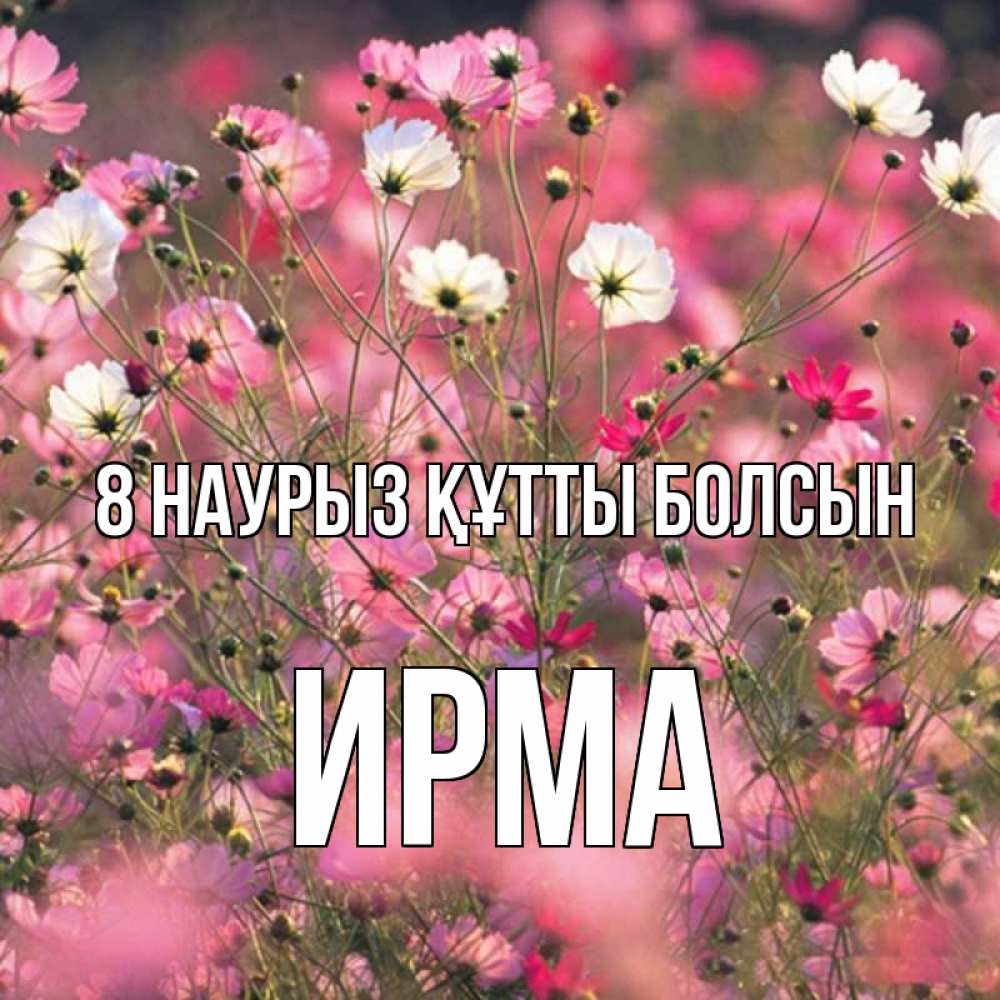 Күн сайын ашық хат с именем, Ирма 8 наурыз құтты болсын красиво 1 Онлайн тегін жүктеп алу тілектері бар керемет карта 
