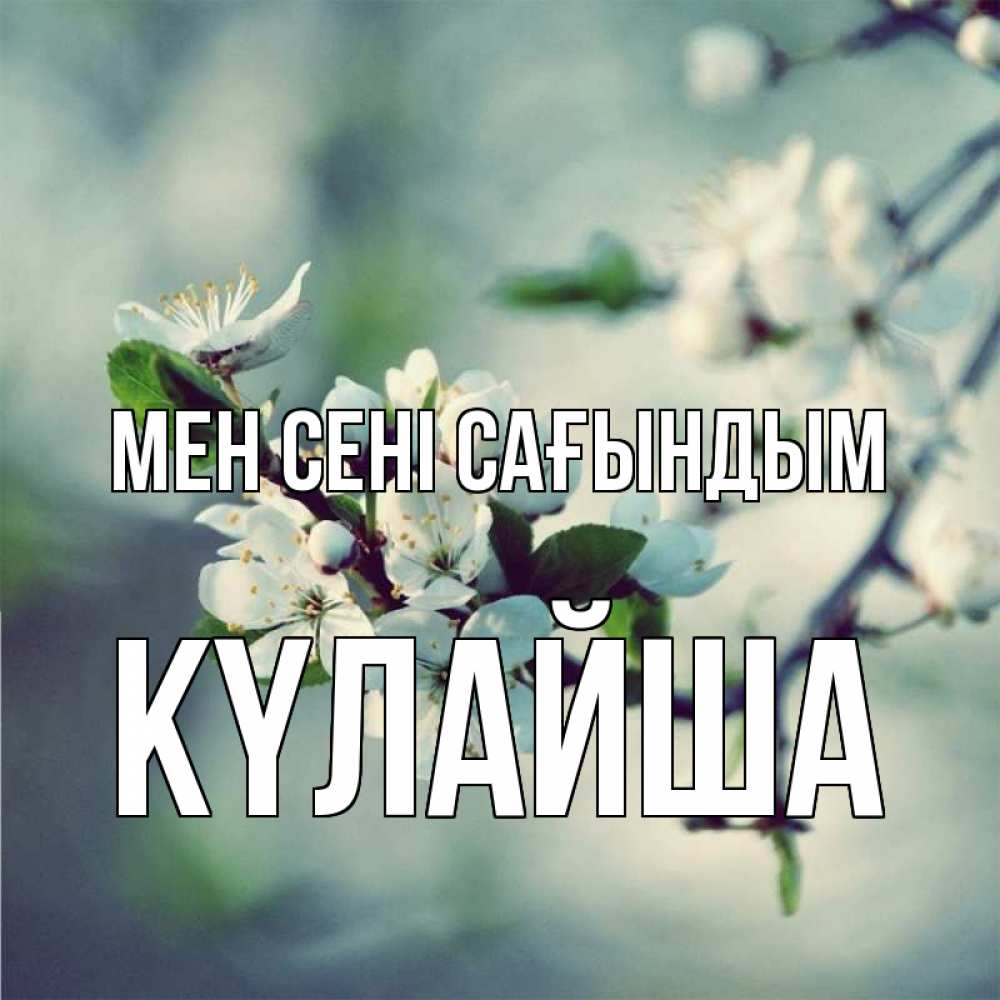 Күн сайын ашық хат с именем, КҮЛАЙША Мен сені сағындым весна Онлайн тегін жүктеп алу тілектері бар керемет карта 