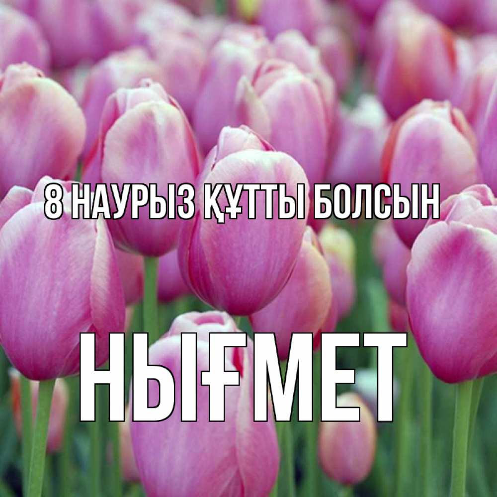 Күн сайын ашық хат с именем, НЫҒМЕТ 8 наурыз құтты болсын на международный женский день 3 Онлайн тегін жүктеп алу тілектері бар керемет карта 