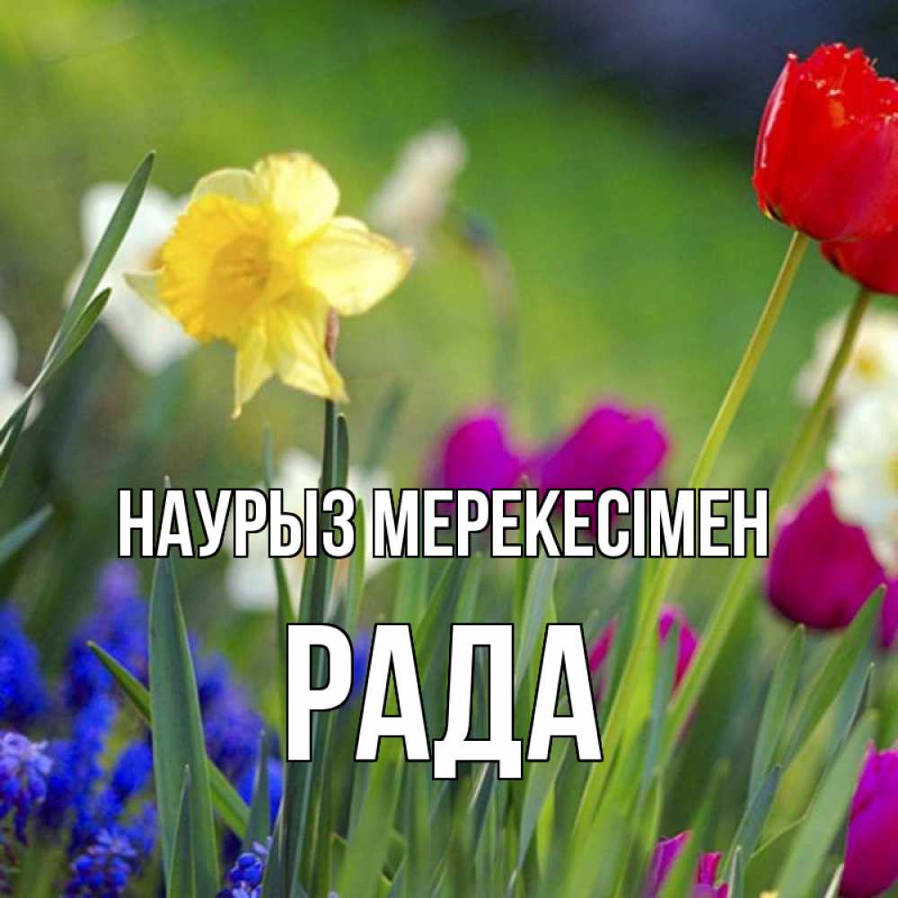 Күн сайын ашық хат с именем, Рада Наурыз мерекесімен праздник весны наурыз 3 Онлайн тегін жүктеп алу тілектері бар керемет карта 