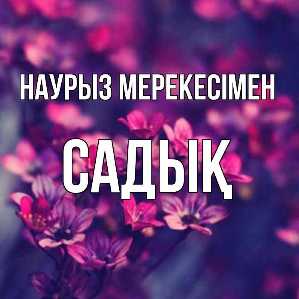 Күн сайын ашық хат с именем, САДЫҚ Наурыз мерекесімен небольшие цветы 1 Онлайн тегін жүктеп алу тілектері бар керемет карта 