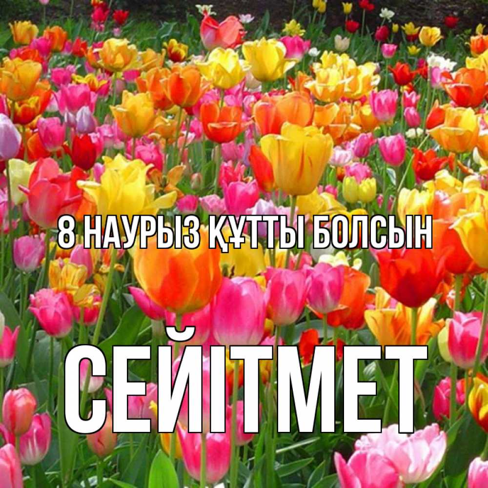 Күн сайын ашық хат с именем, СЕЙІТМЕТ 8 наурыз құтты болсын на международный женский день Онлайн тегін жүктеп алу тілектері бар керемет карта 