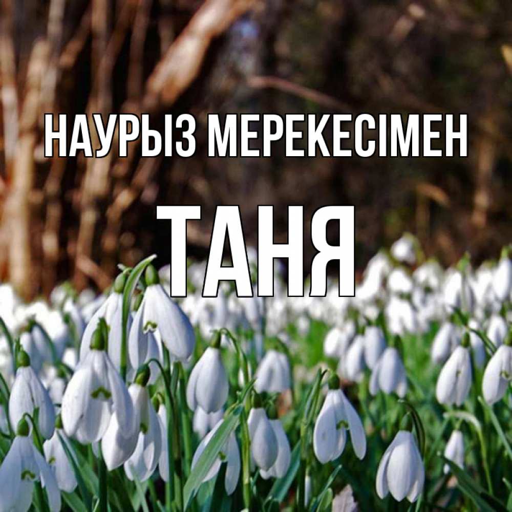 Күн сайын ашық хат с именем, Таня Наурыз мерекесімен с подснежниками 1 Онлайн тегін жүктеп алу тілектері бар керемет карта 