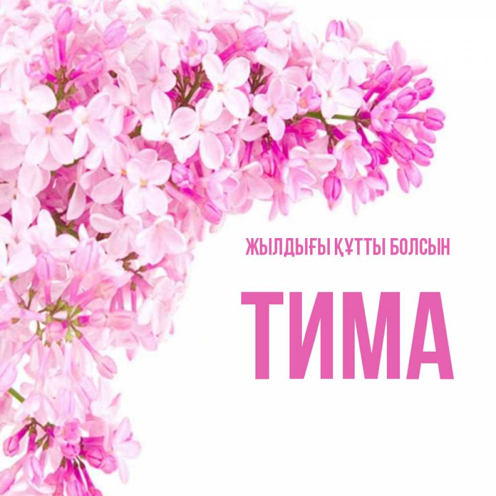 Күн сайын ашық хат с именем, Тима Жылдығы құтты болсын Сирень на белом фоне Онлайн тегін жүктеп алу тілектері бар керемет карта 