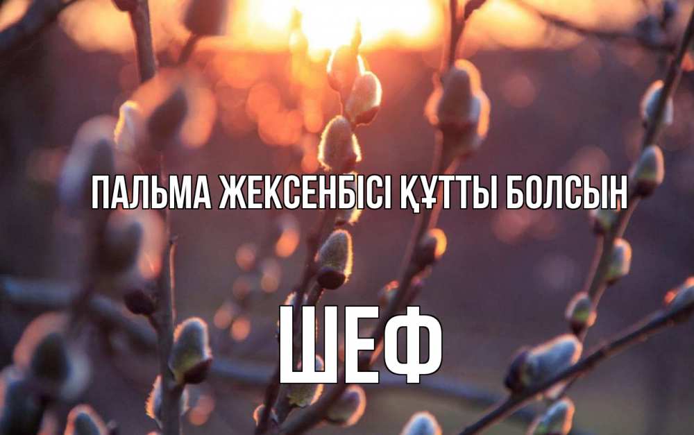 Күн сайын ашық хат с именем, Шеф Пальма жексенбісі құтты болсын верба Онлайн тегін жүктеп алу тілектері бар керемет карта 