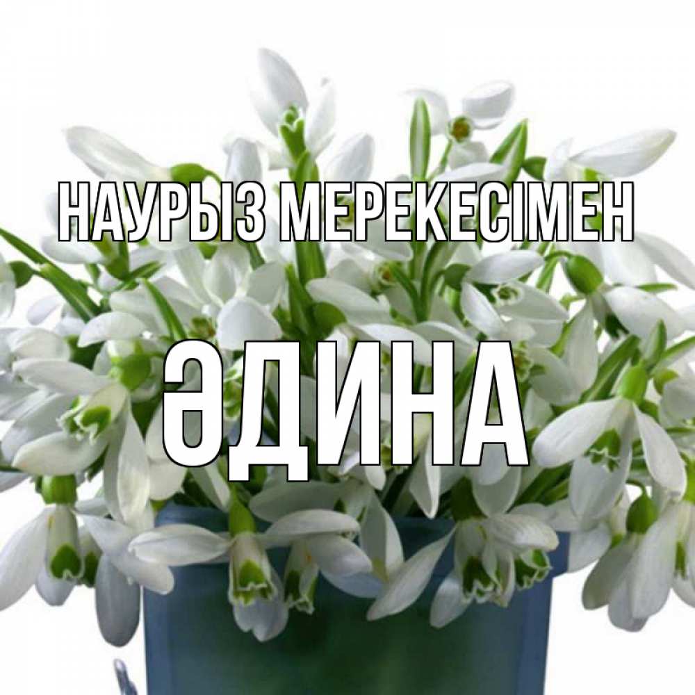 Күн сайын ашық хат с именем, ӘДИНА Наурыз мерекесімен цветы к наурызу новый год в Казахстане Онлайн тегін жүктеп алу тілектері бар керемет карта 