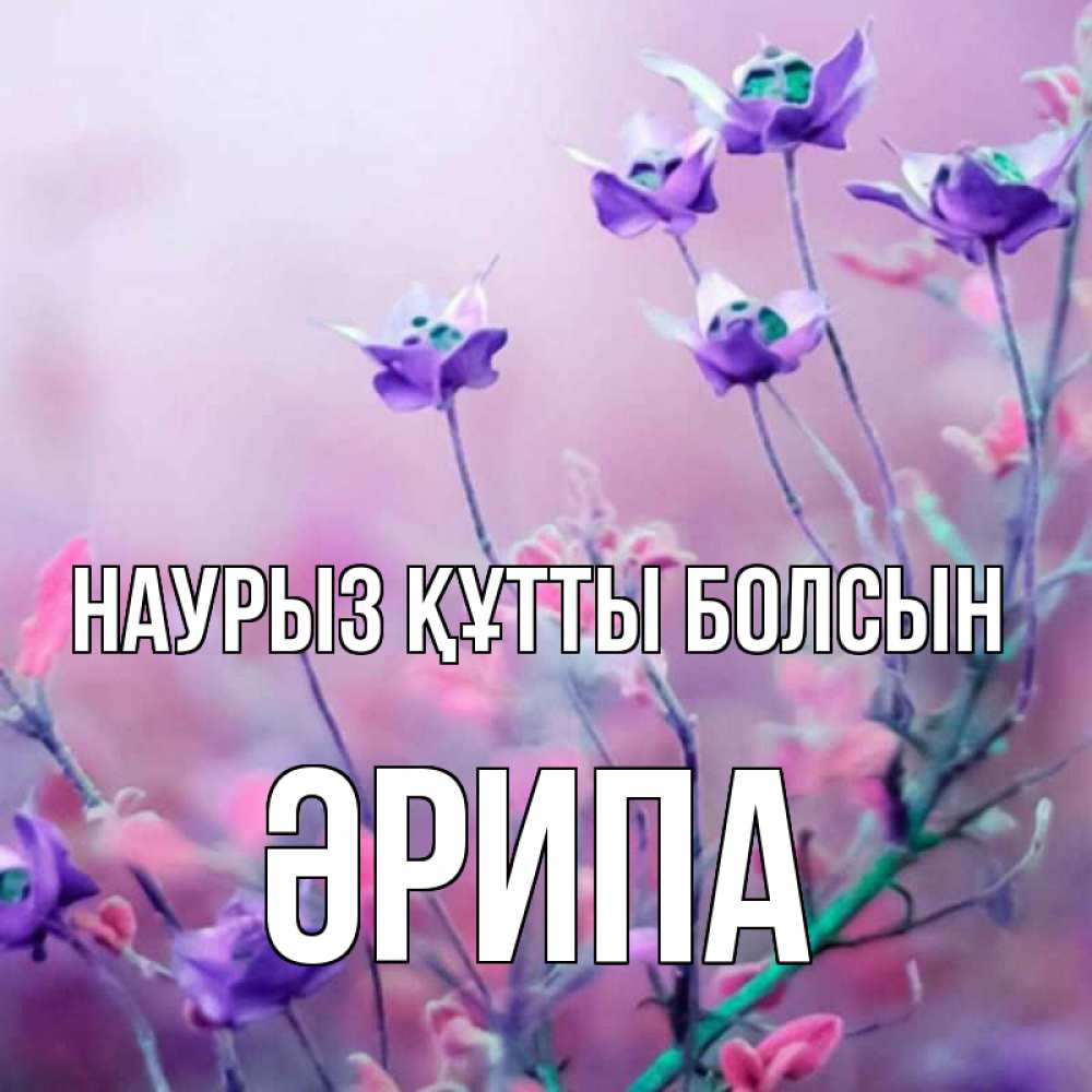 Күн сайын ашық хат с именем, ӘРИПА Наурыз құтты болсын наурыз  2 Онлайн тегін жүктеп алу тілектері бар керемет карта 
