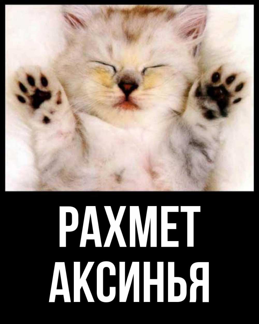 Күн сайын ашық хат с именем, Аксинья рахмет маленький котенок Онлайн тегін жүктеп алу тілектері бар керемет карта 
