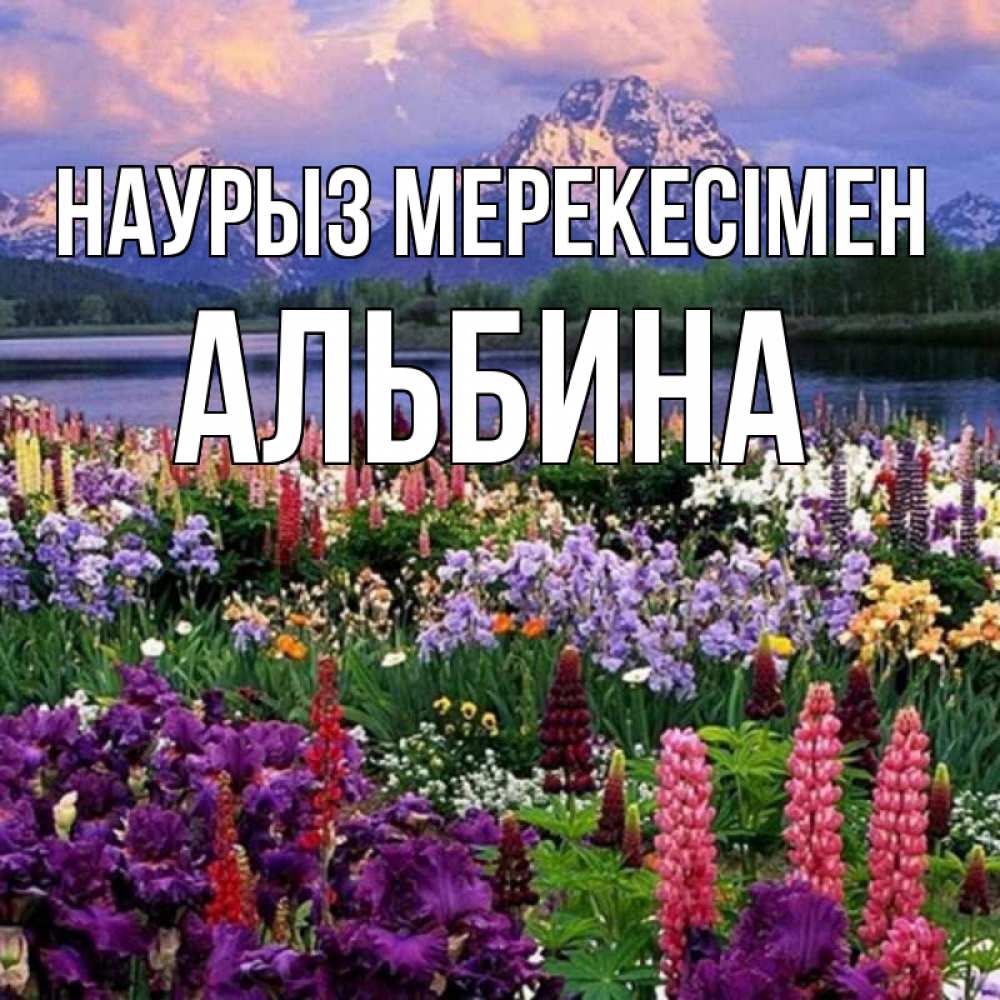 Күн сайын ашық хат с именем, Альбина Наурыз мерекесімен праздник весны наурыз Онлайн тегін жүктеп алу тілектері бар керемет карта 