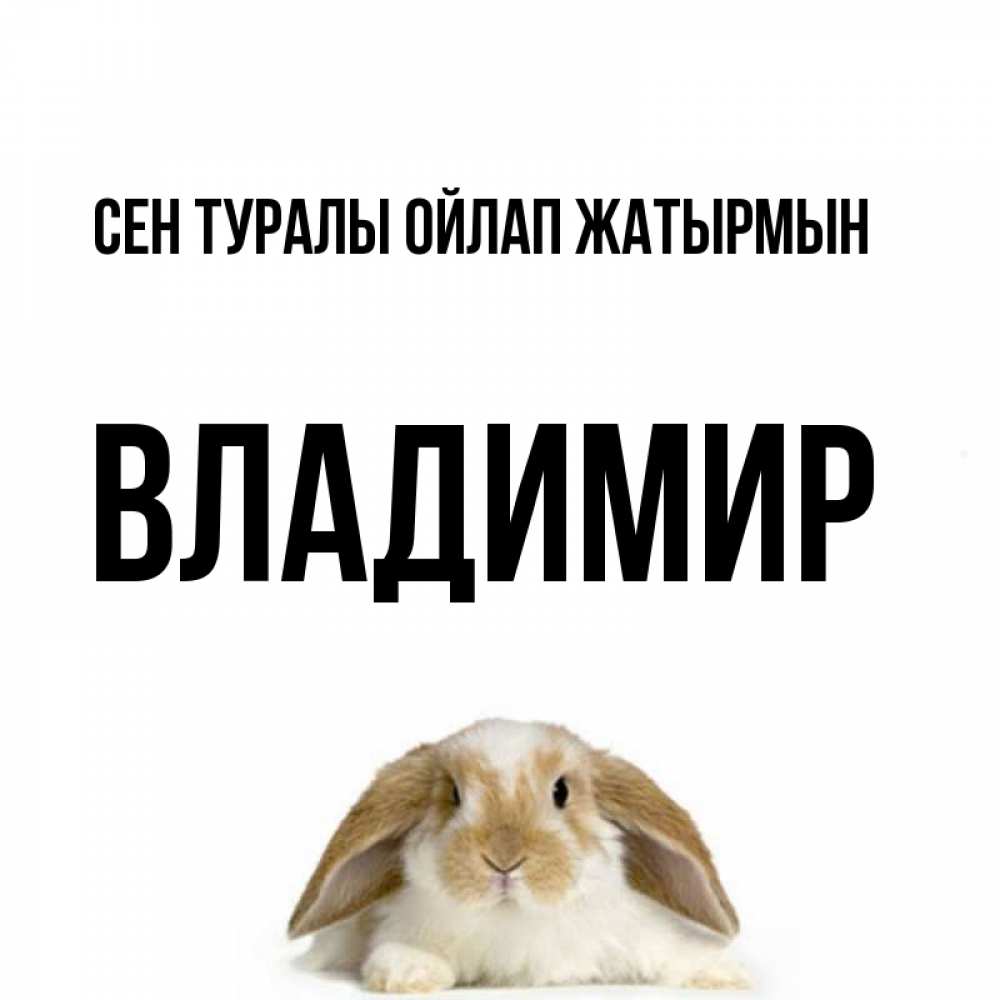 Күн сайын ашық хат с именем, Владимир Сен туралы ойлап жатырмын подписать своими руками онлайн Онлайн тегін жүктеп алу тілектері бар керемет карта 