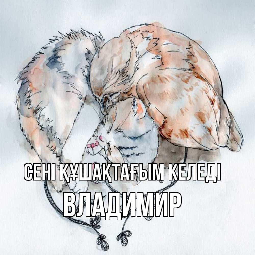 Күн сайын ашық хат с именем, Владимир сені құшақтағым келеді можно быть вместе даже когда очень разные Онлайн тегін жүктеп алу тілектері бар керемет карта 