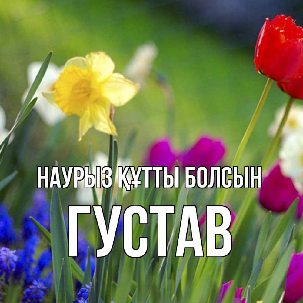 Күн сайын ашық хат с именем, Густав Наурыз құтты болсын наурыз  3 открытки Онлайн тегін жүктеп алу тілектері бар керемет карта 