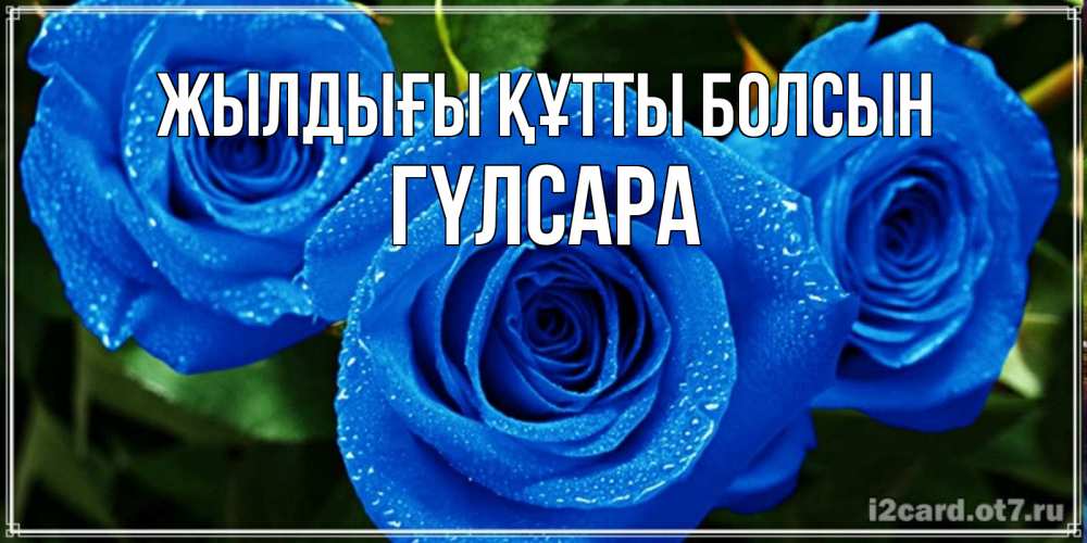 Күн сайын ашық хат с именем, ГҮЛСАРА Жылдығы құтты болсын розы с синим цветом Онлайн тегін жүктеп алу тілектері бар керемет карта 