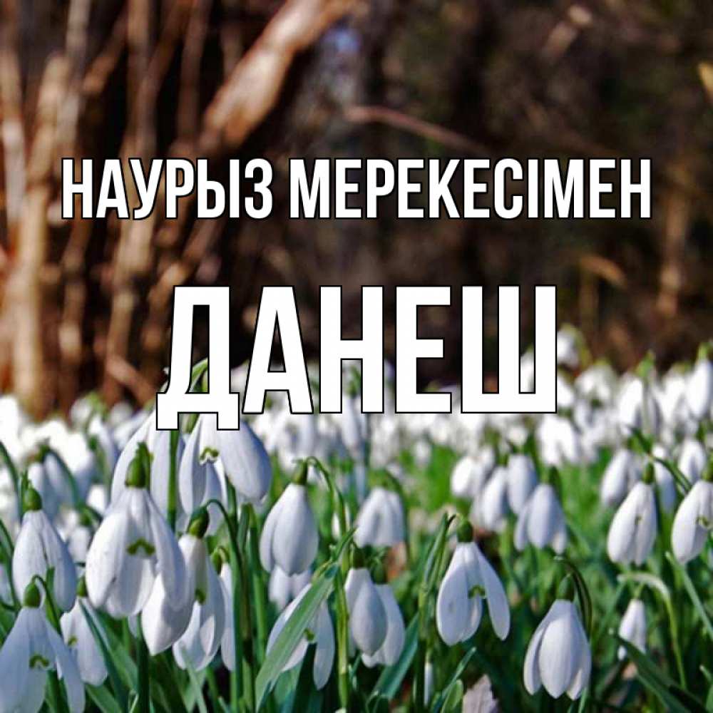 Күн сайын ашық хат с именем, ДАНЕШ Наурыз мерекесімен с подснежниками 1 Онлайн тегін жүктеп алу тілектері бар керемет карта 