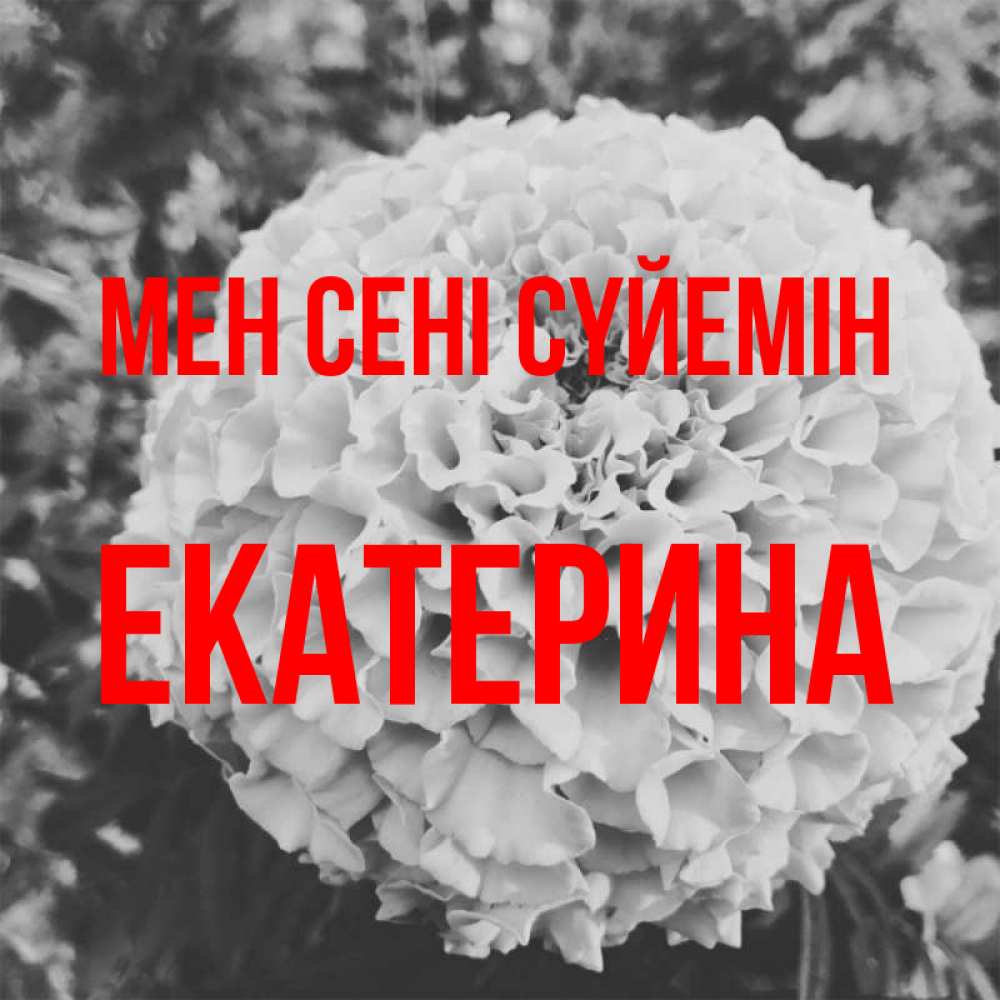 Күн сайын ашық хат с именем, Екатерина Мен сені сүйемін подпись Онлайн тегін жүктеп алу тілектері бар керемет карта 
