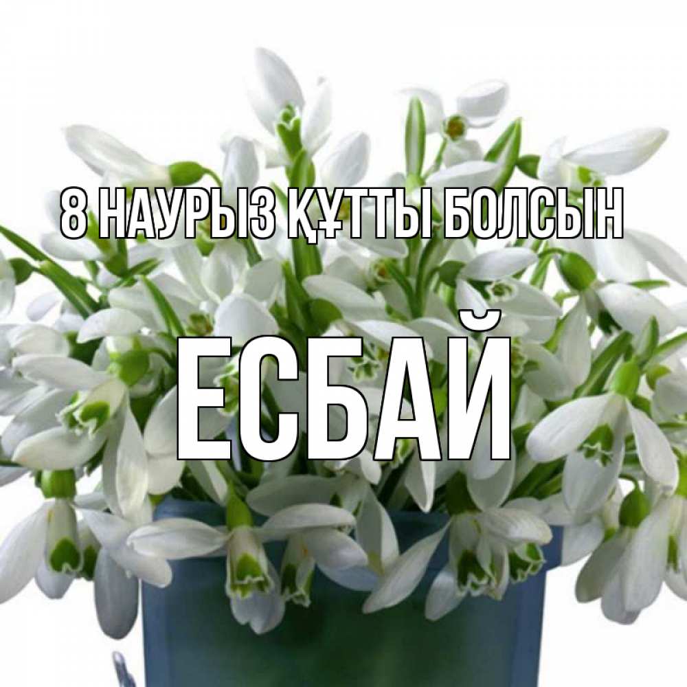 Күн сайын ашық хат с именем, Есбай 8 наурыз құтты болсын цветы к международному женскому дню Онлайн тегін жүктеп алу тілектері бар керемет карта 