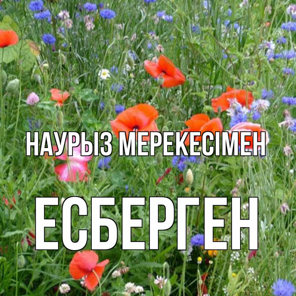 Күн сайын ашық хат с именем, Есберген Наурыз мерекесімен праздник весны наурыз супер открытка Онлайн тегін жүктеп алу тілектері бар керемет карта 